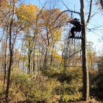 The author takes aim from the tree stand